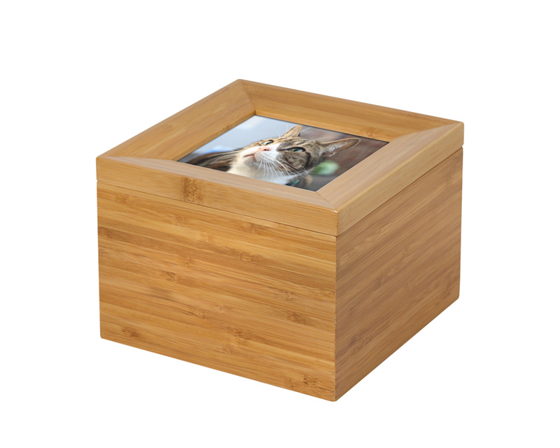 Tributes Box with pet photo